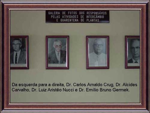 Historico Jardim Botanico