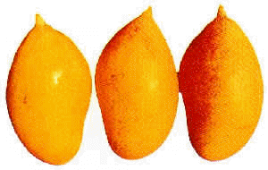 wpe2.jpg (7767 bytes)