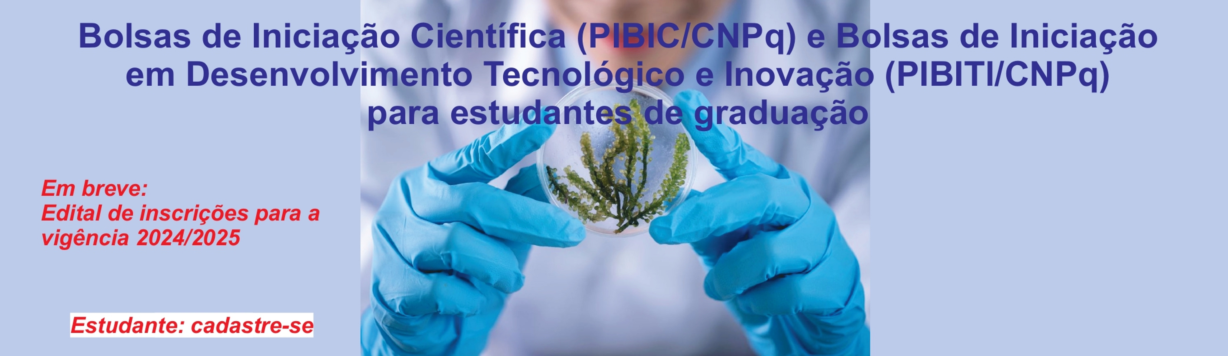 Instituto Agronômico (IAC), Centro de Café "Alcides Carvalho"